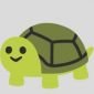 Turtleman
