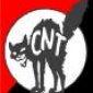CeNeTista_punk